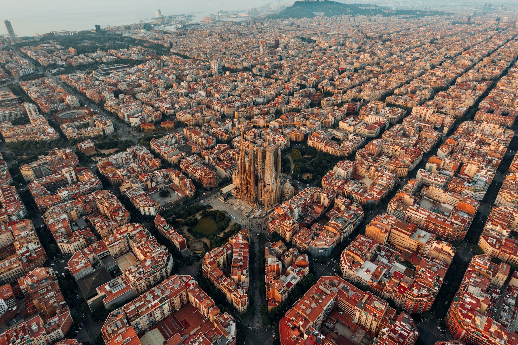 Sagrada Família rising above Barcelona rooftops