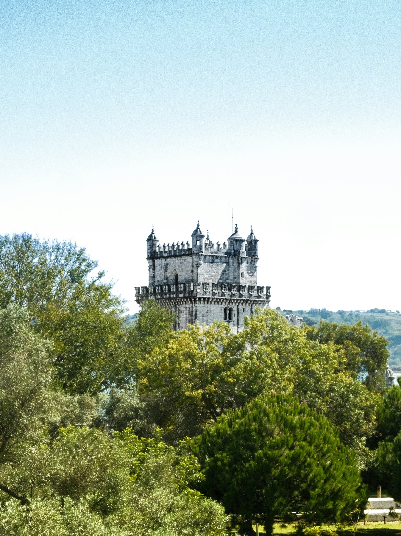 Belém Tower behind trees in Lisbon