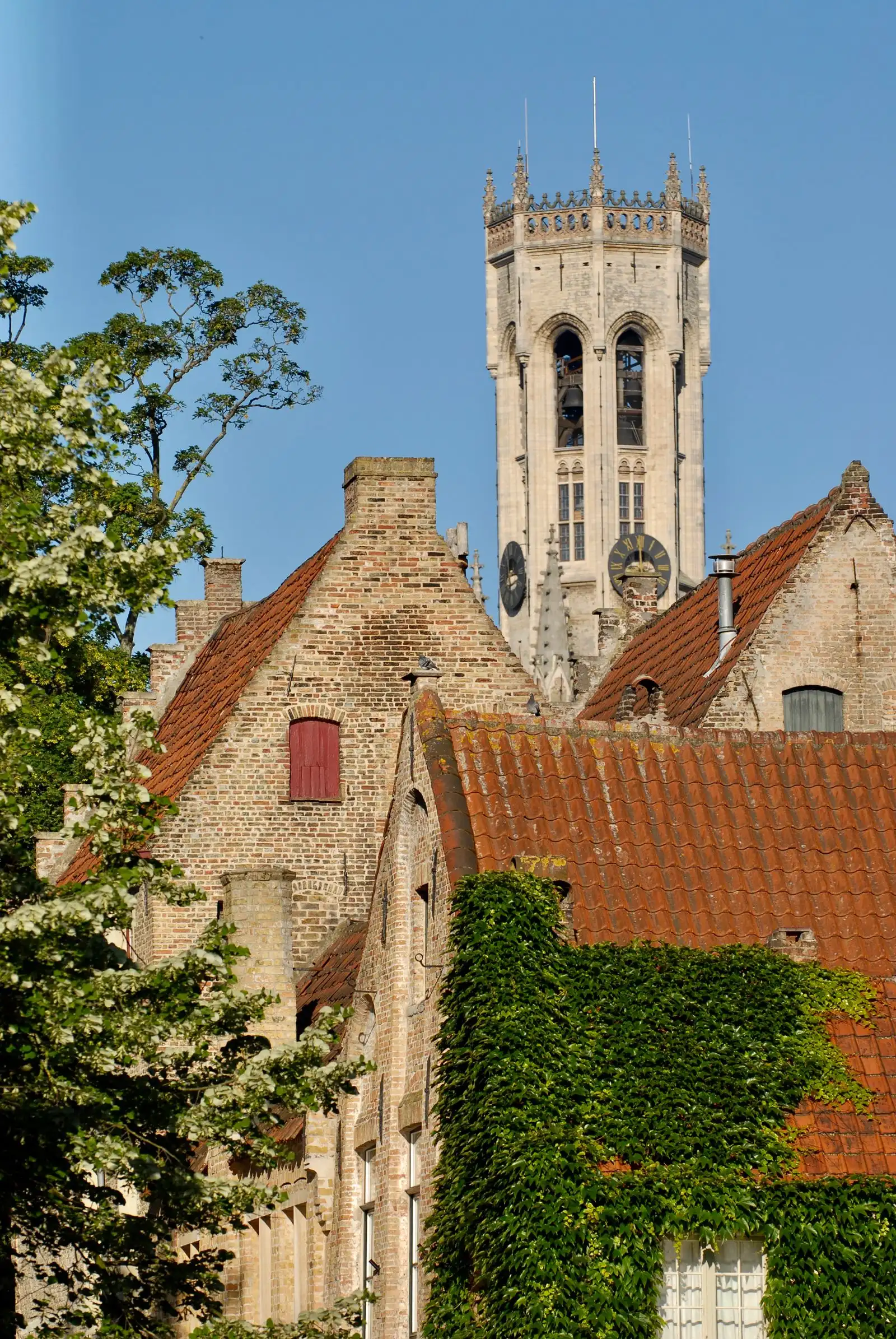 The Belfry of Bruges above brick buildings and tiled rooftops
