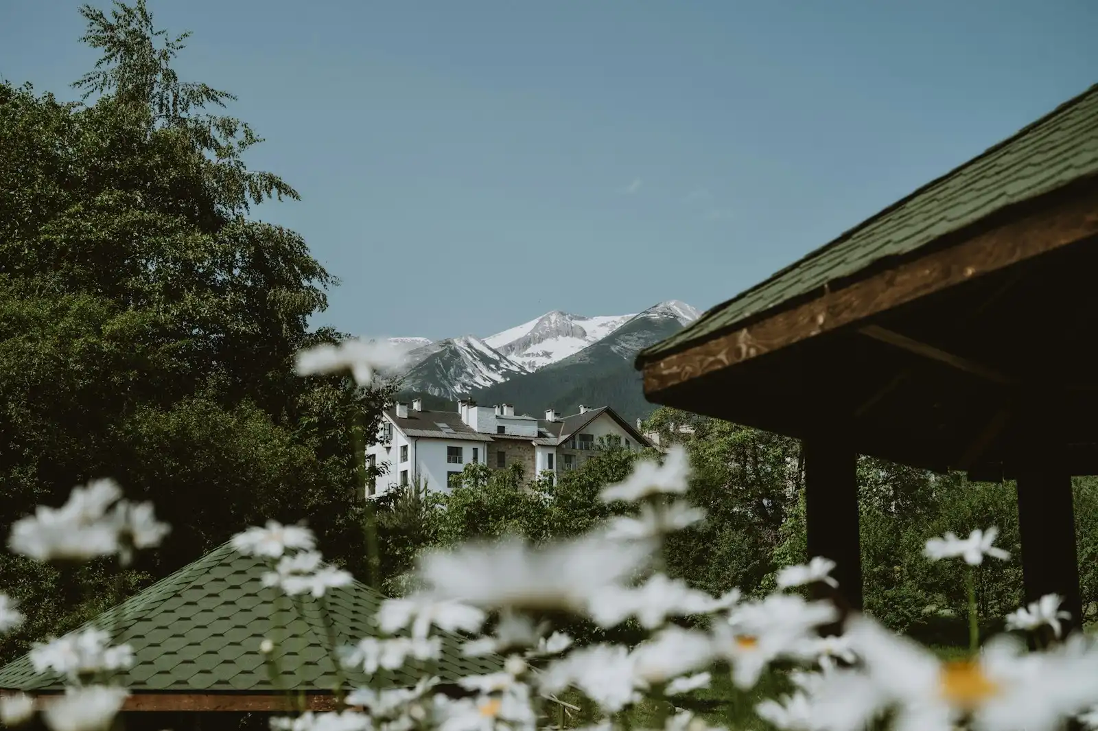 Flowers frame buildings and mountain peaks in Bansko