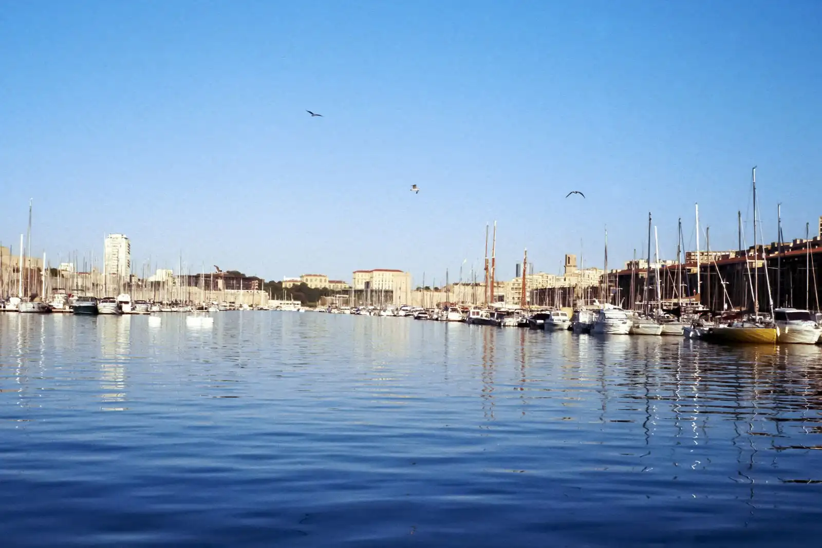 Moored boats and waterfront buildings in Marseille's Old Port