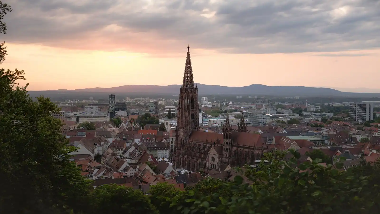 Freiburg's cathedral above the rooftops at sunset