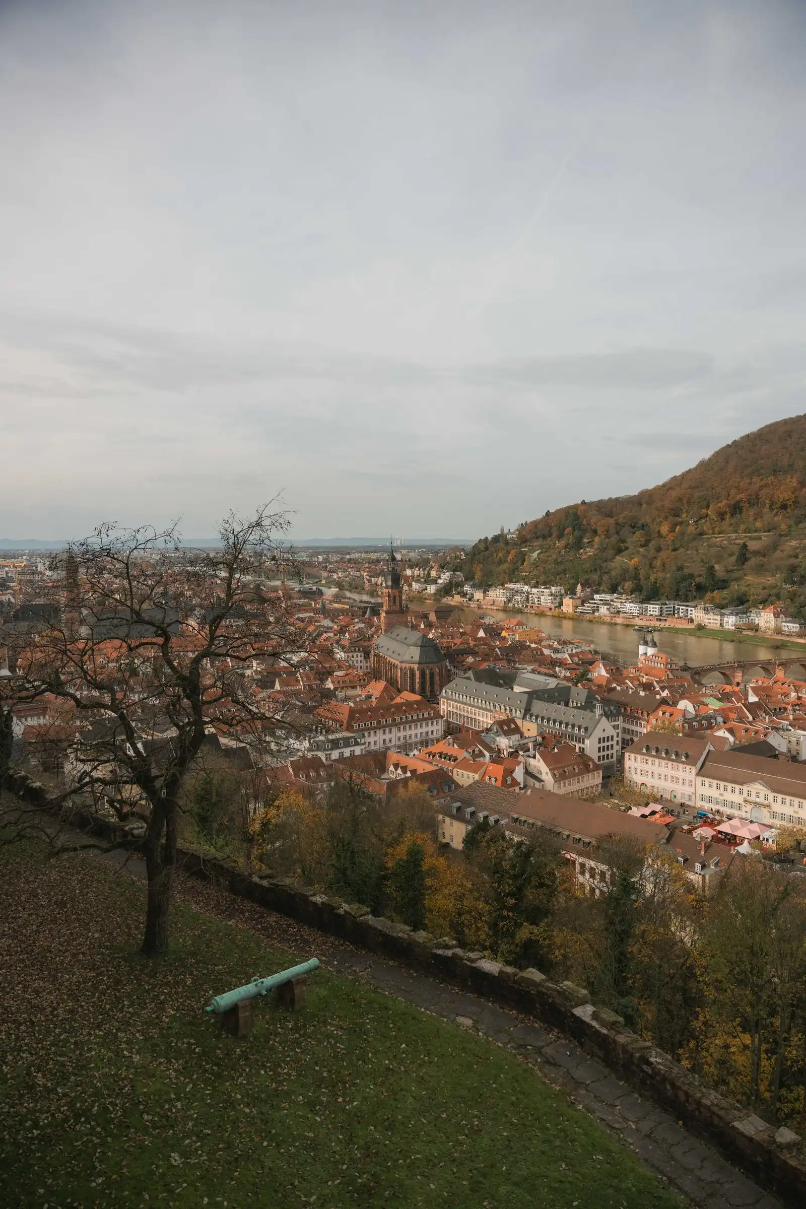 Heidelberg's rooftops beside the Neckar River