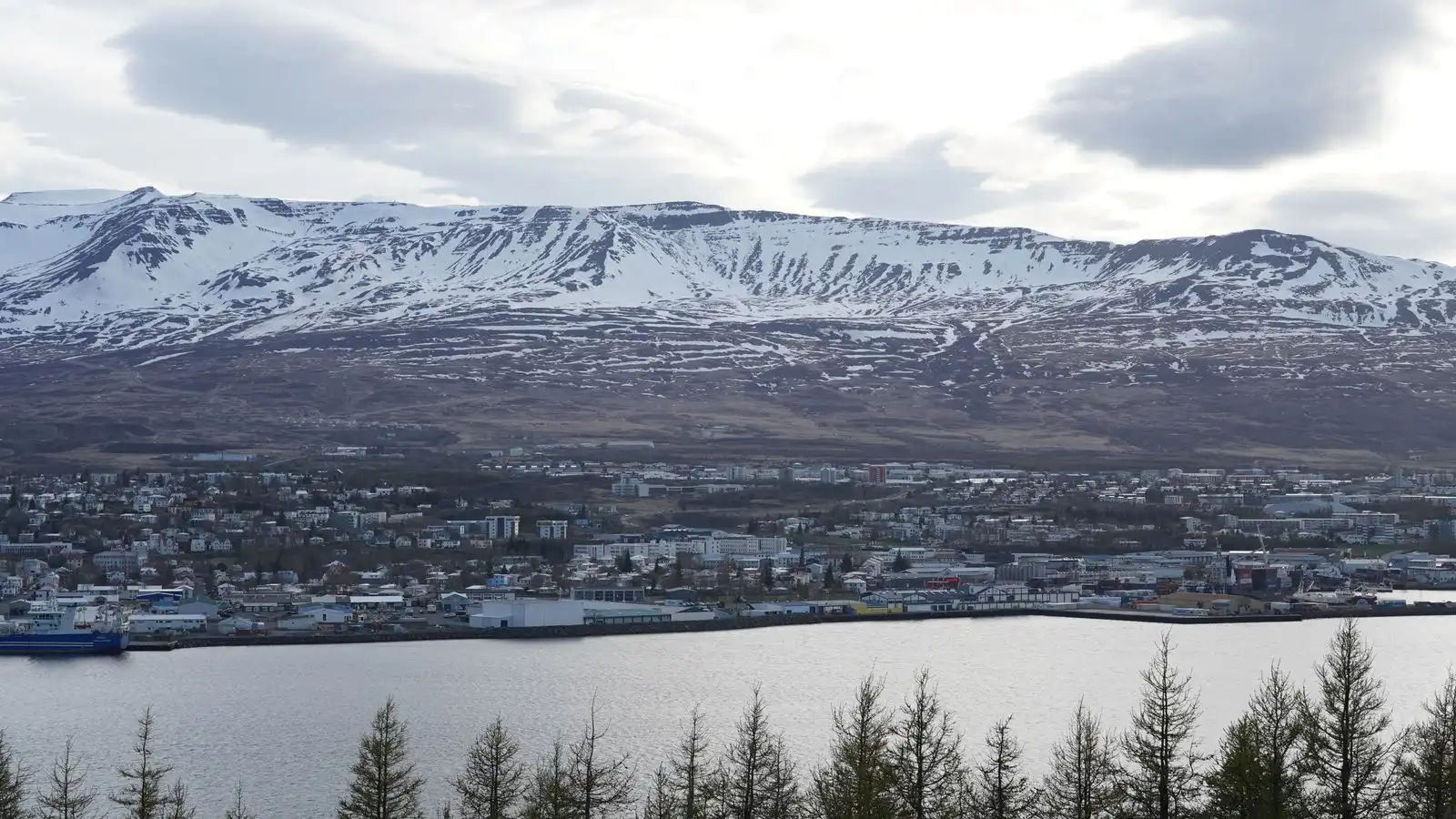Akureyri beside the fjord with snowy mountains beyond