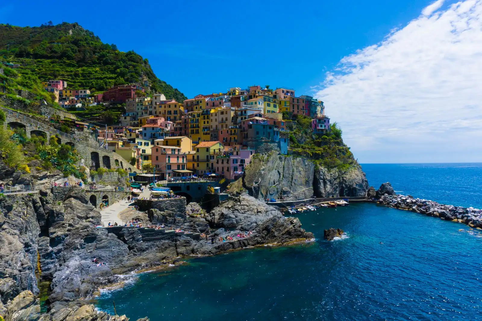 Manarola's colourful houses above the sea in Cinque Terre