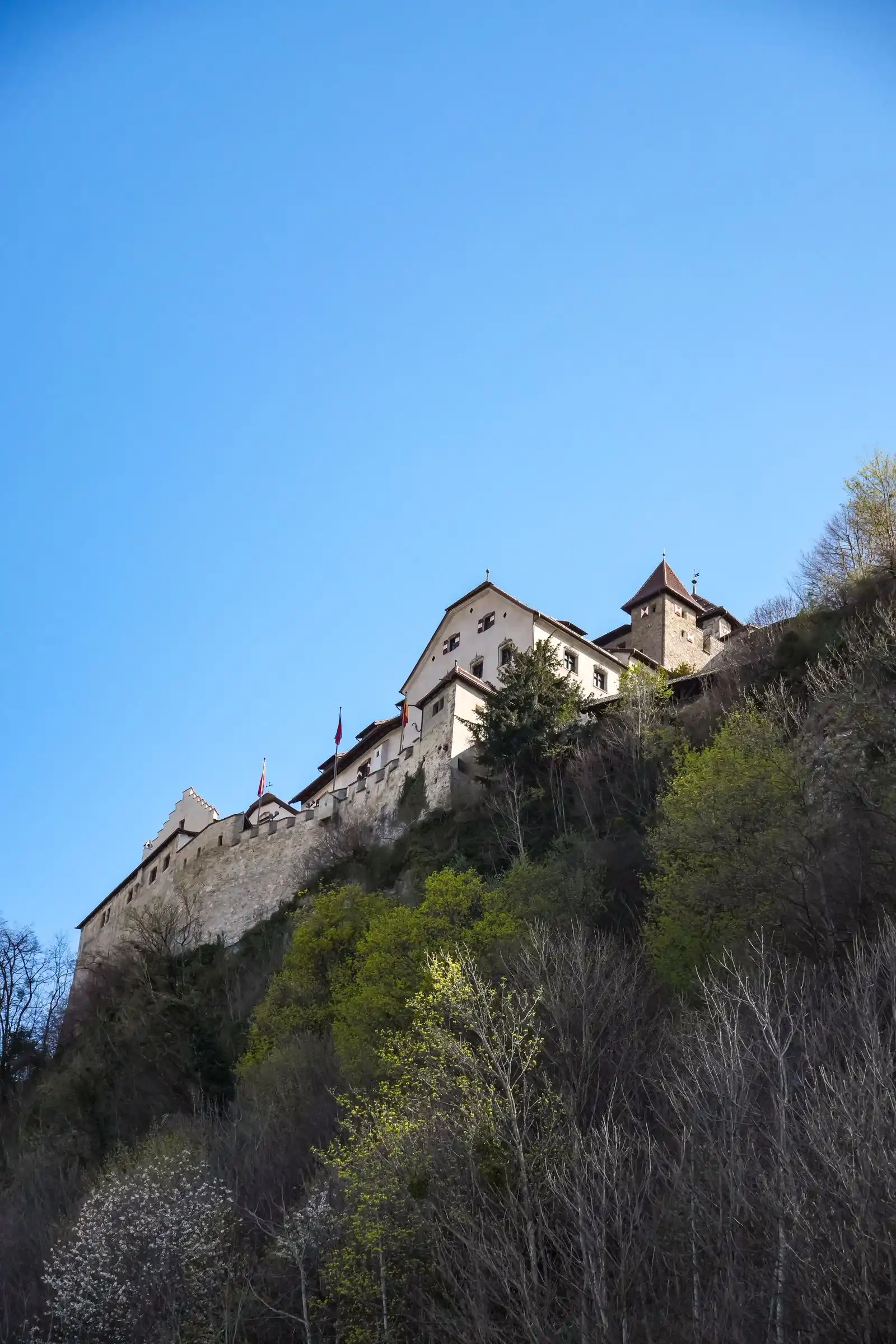 Vaduz Castle on a wooded hillside