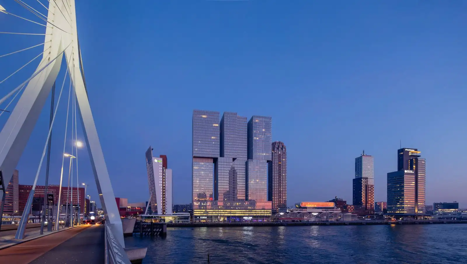 Erasmus Bridge beside Rotterdam's illuminated skyline