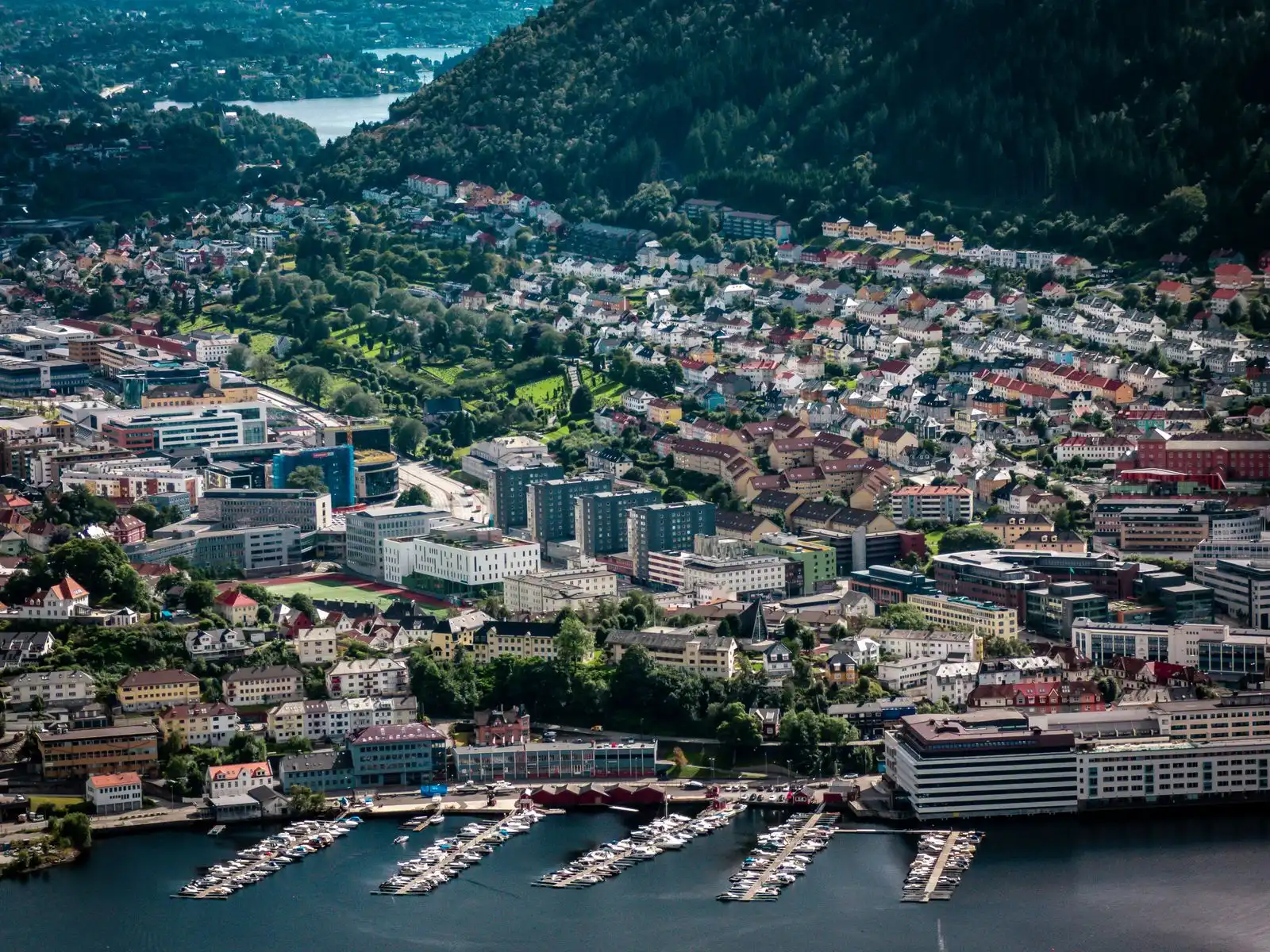 Bergen's buildings and marina below wooded hills