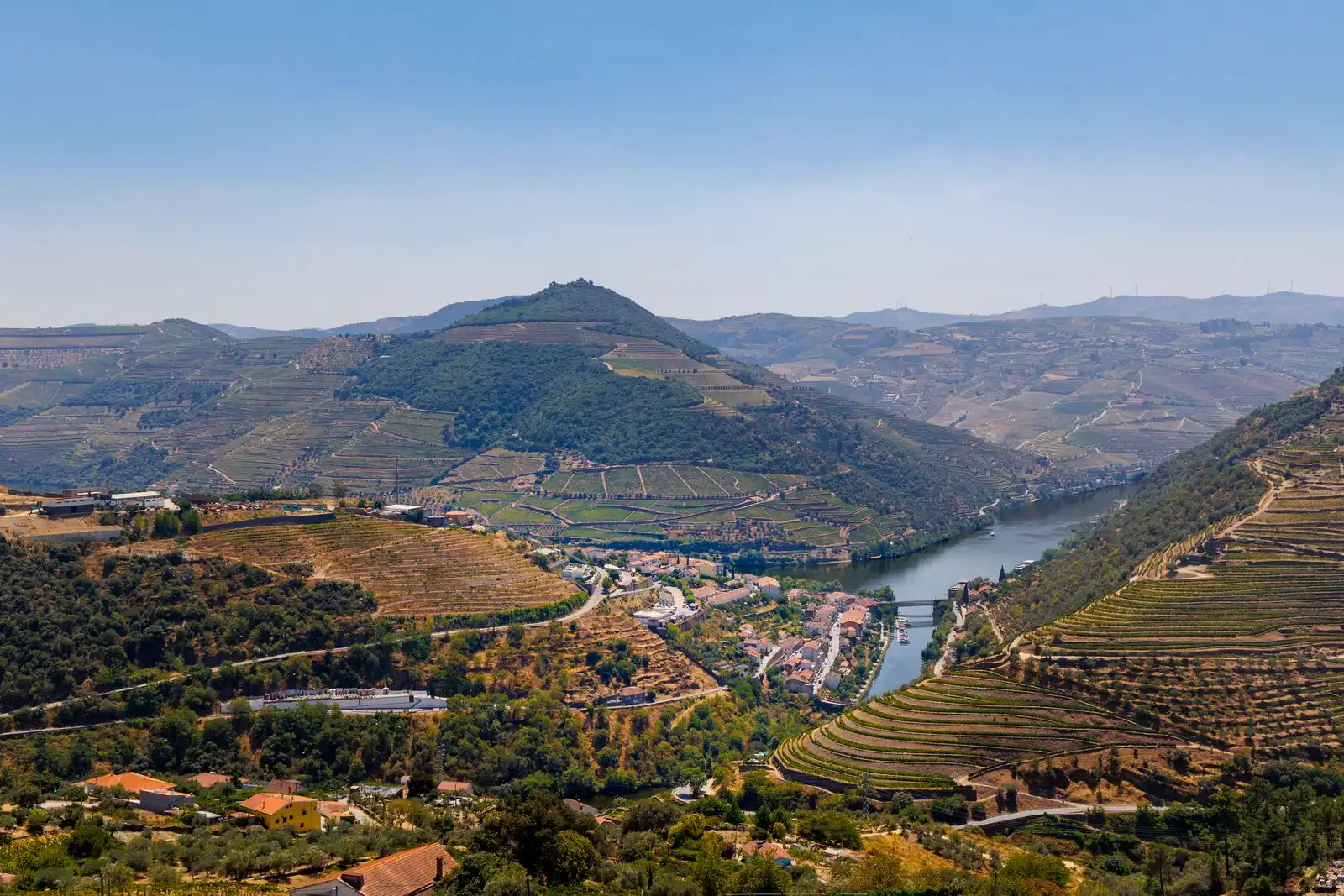 Terraced vineyards above a bend in the Douro River