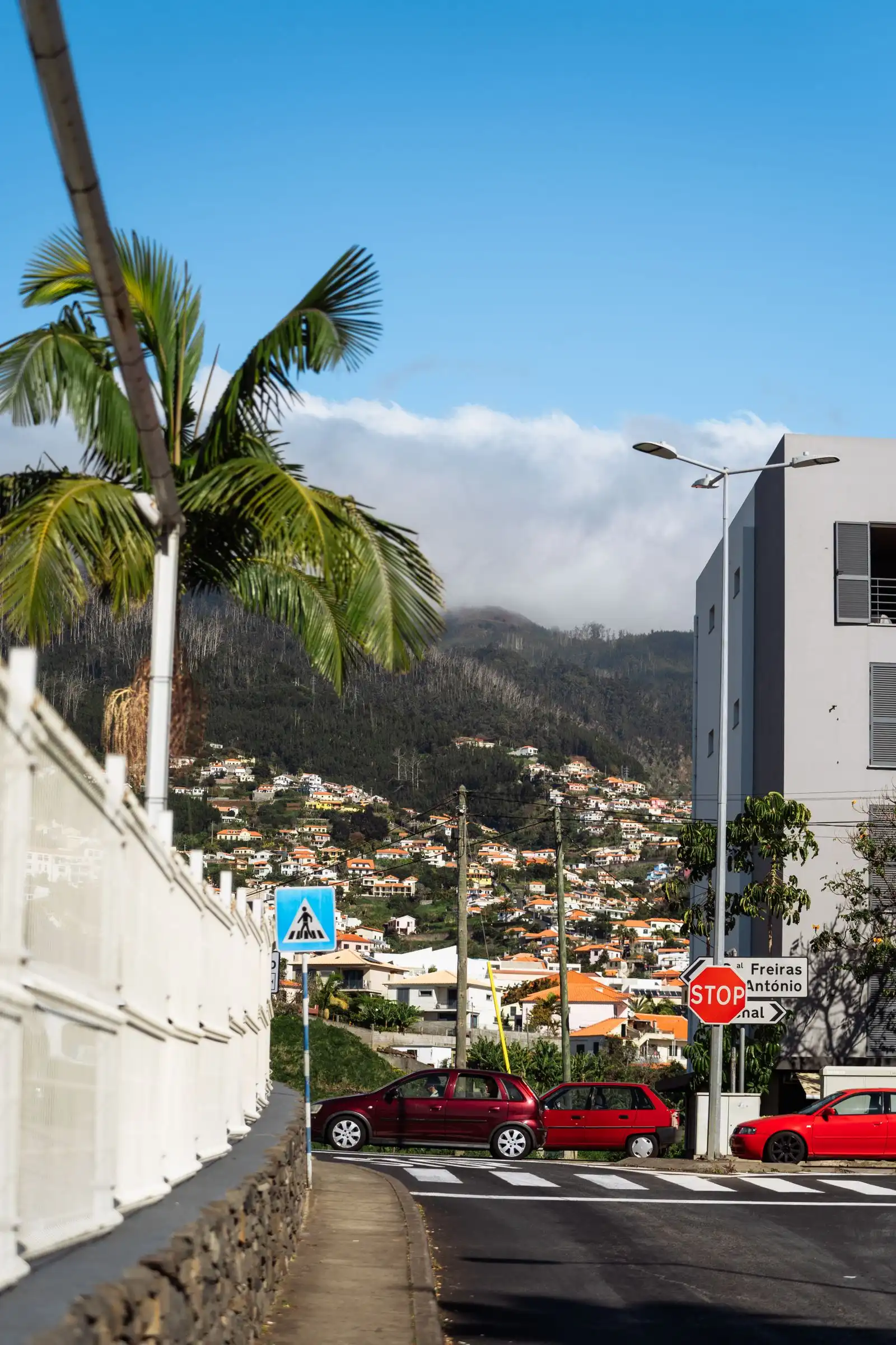A street in Funchal with buildings on the mountain slopes beyond
