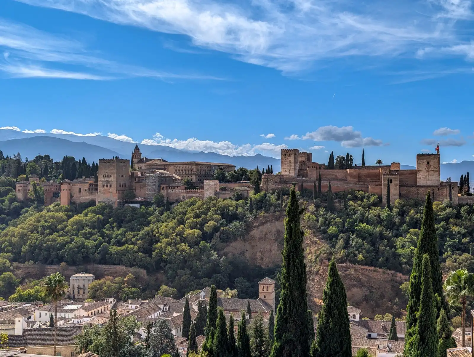 The Alhambra above a wooded hillside in Granada