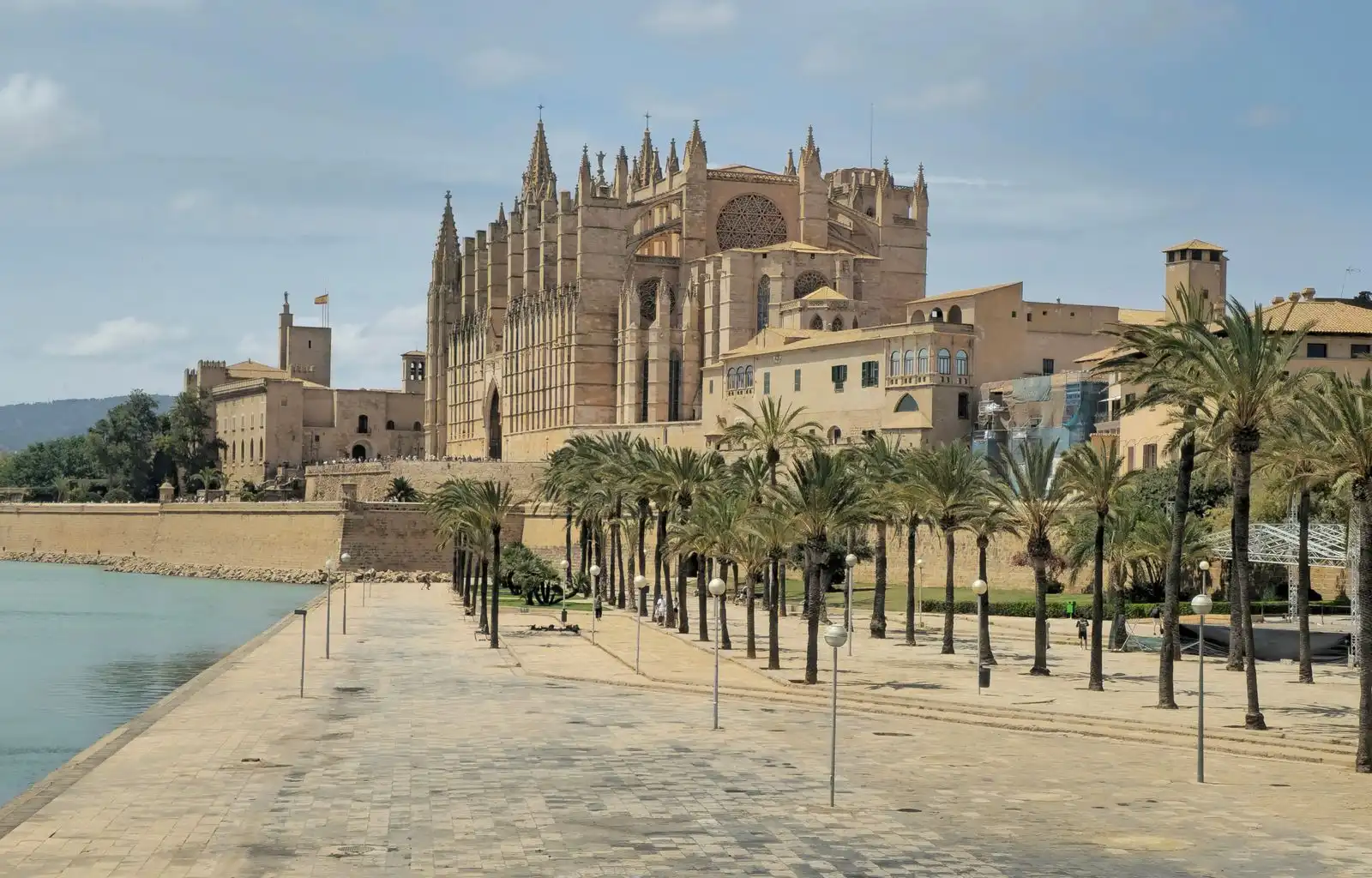 Palma Cathedral beside a palm-lined promenade in Mallorca