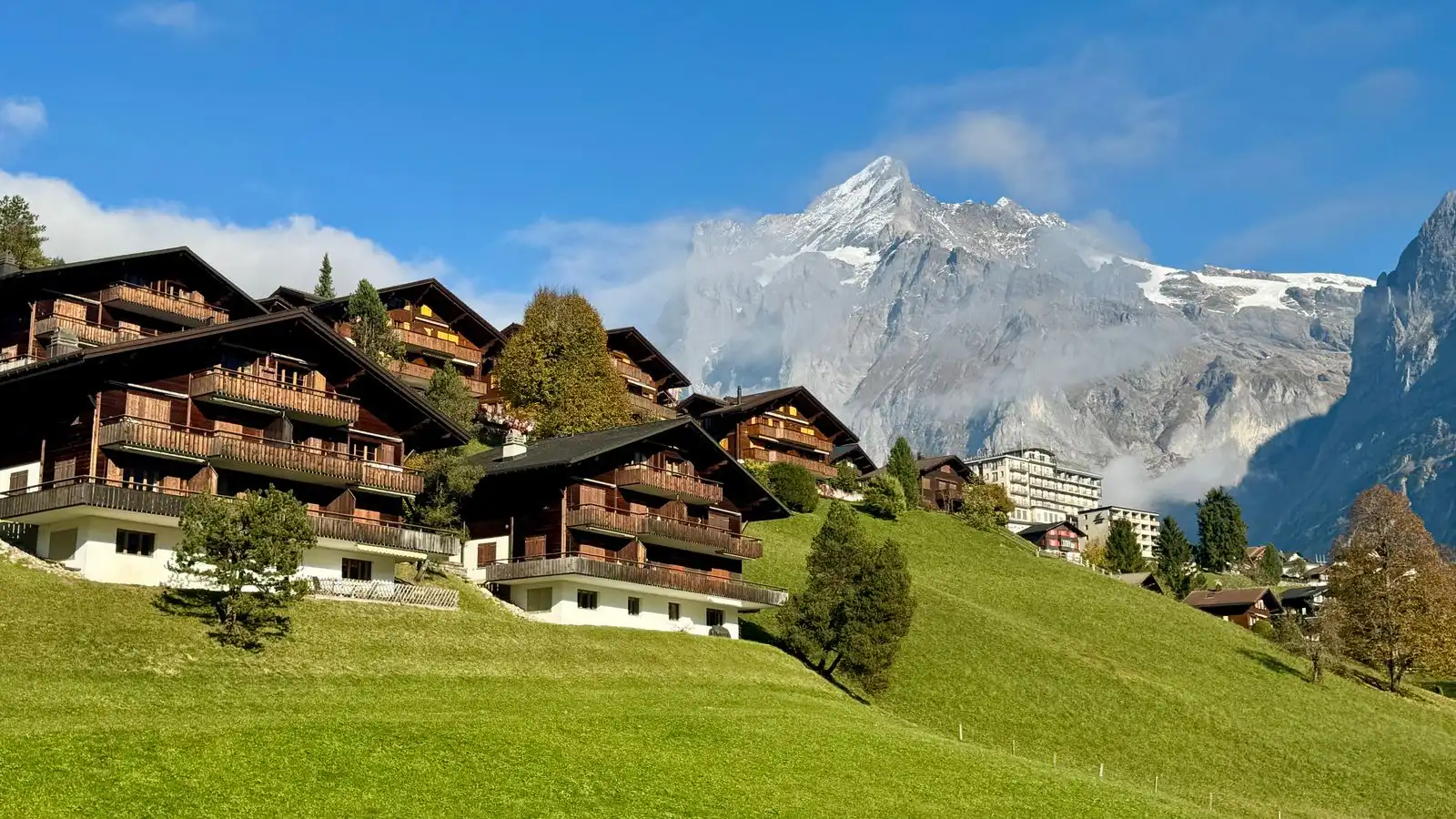 Chalets on a green hillside below the mountains in Grindelwald