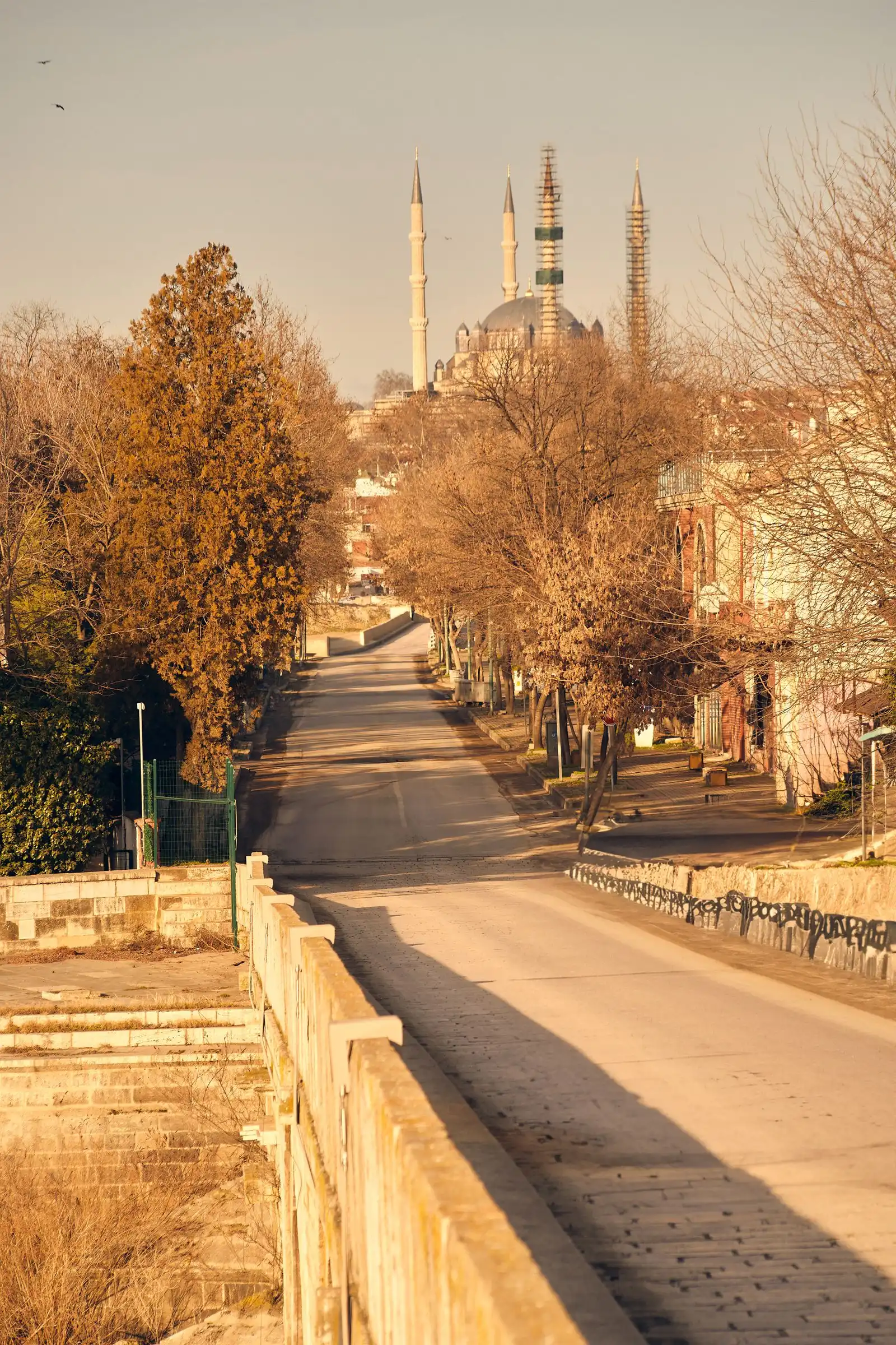 Selimiye Mosque beyond autumn trees in Edirne