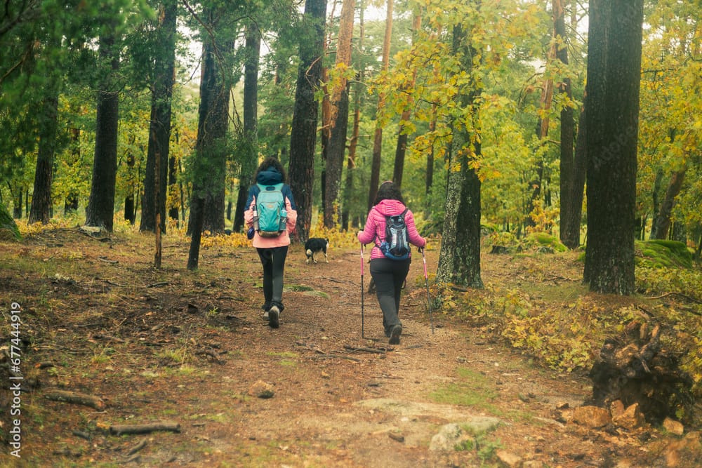 People walking through the Valsain forest, Segovia, National Park, Sierra de Guadarrama